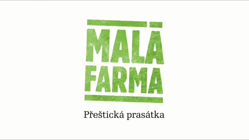 Documentary Přeštická prasátka
