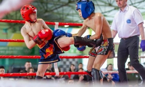 Кікбоксинг.  WAKO. Чемпіонат України. Бровари