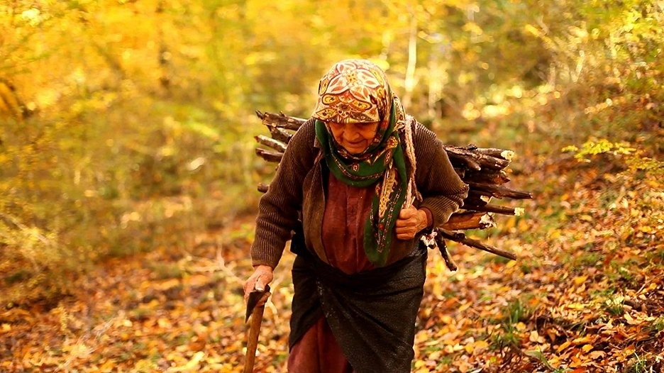 Documentary Milovaná
