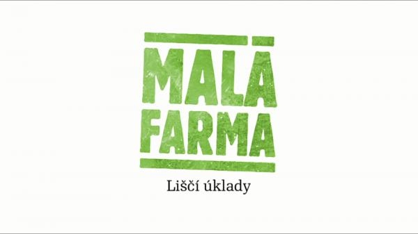 Liščí úklady