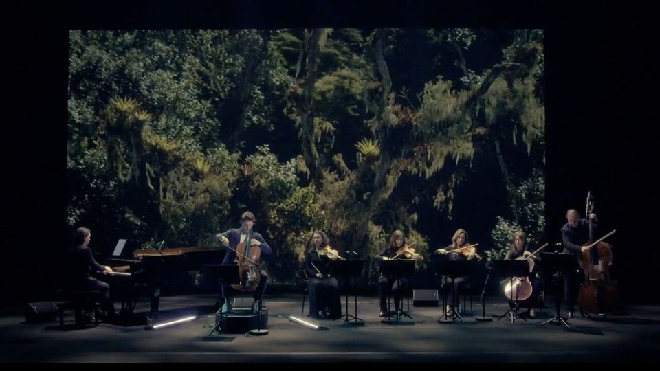 Wonderful World - Ode to nature