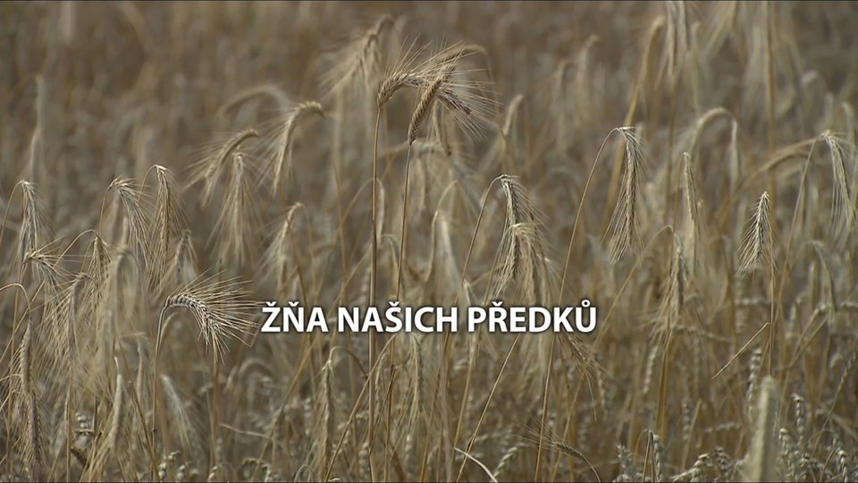 Najlepšie folk & ľudové z roku 2017 online