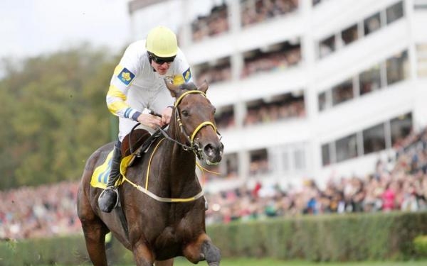 Dostihy - British Champions Day