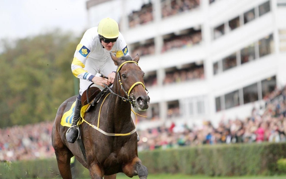 Dostihy - British Champions Day
