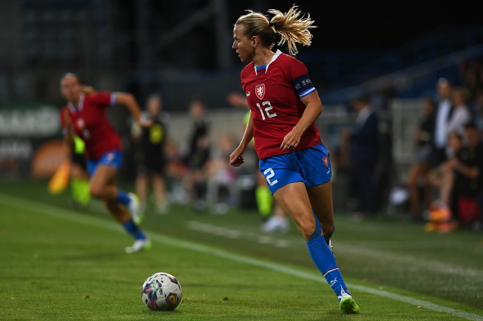 Fotbal: Francie - Wales