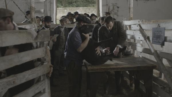 Pasteur a Koch: Souboj velikánů světa mikrobů
