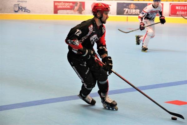 In-Line hokej