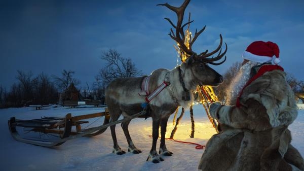 Božić u svijetu prirode