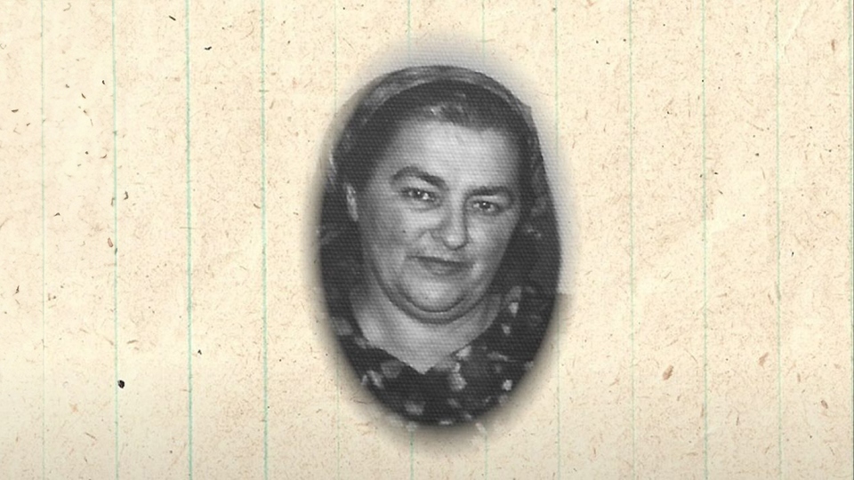 Najbolji kuharske emisije online