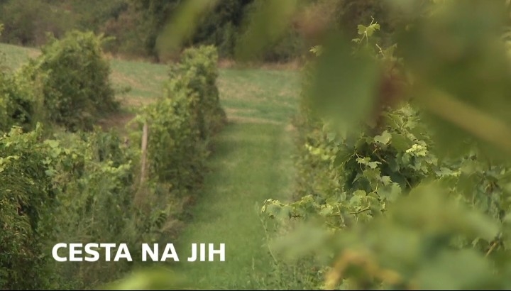 Documentary Cesta na jih