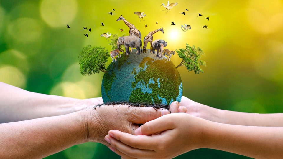 Dokument Kraina 10 000 niedźwiedzi grizzly