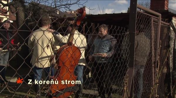 Z koreňů strom