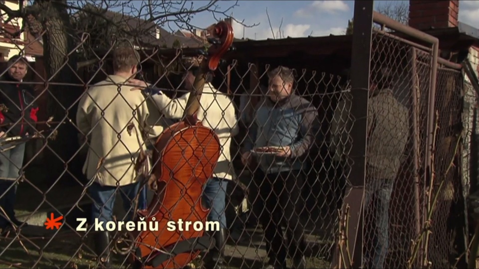 Dokument Z&nbsp;koreňů strom