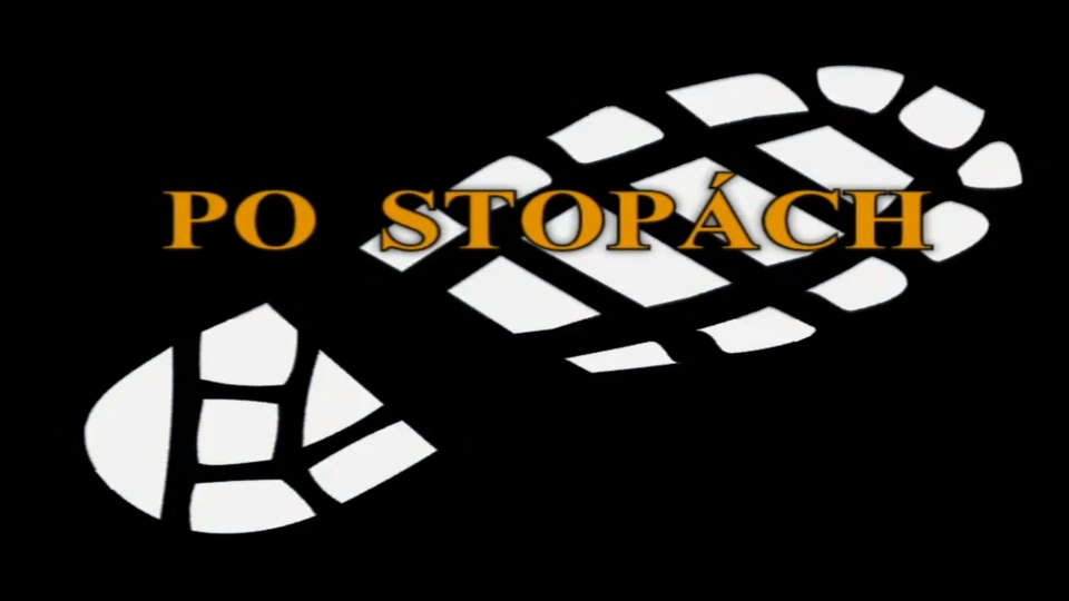 39 dokumentů z roku 2004 online