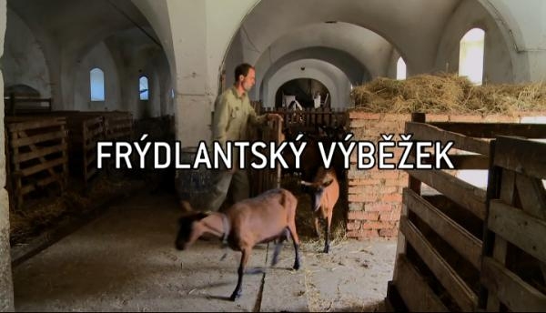 Frýdlantský výběžek