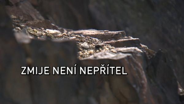 Zmije není nepřítel