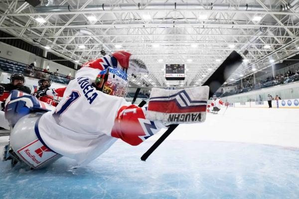 Parahokej: USA - Česko