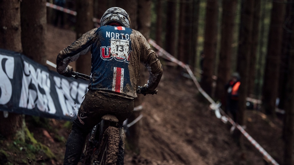 The best cycling online