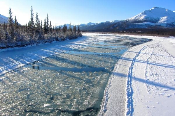 Začalo to v Yellowstonu - národní parky USA a jejich příroda