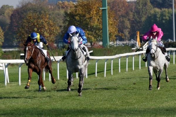 Dostihy - Breeders Cup Classic