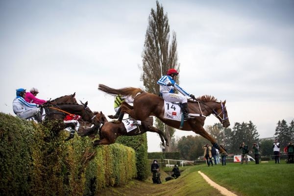 Dostihy: Velká pardubická 2024