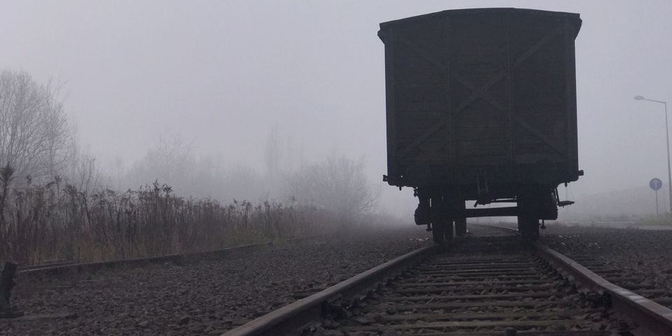 Dokument 999 zapomenutých dívek