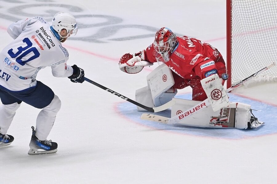 Den hokeje v Česku - Hvězdy na ledě