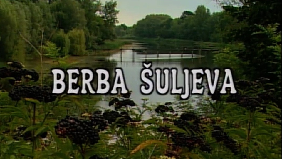 Dokumentarci Berba šuljeva