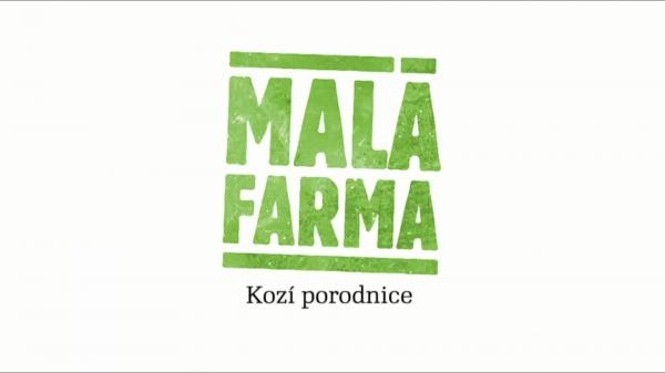 Kozí porodnice