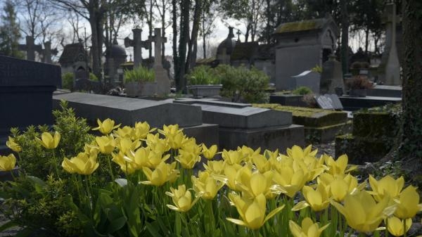 Pere Lachaise - nekropolia Paryża