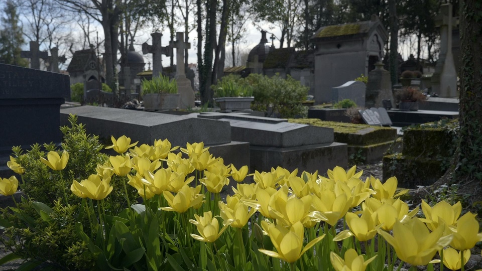Dokument Pere Lachaise - nekropolia Paryża