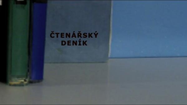 Čtenářský deník... Sestra