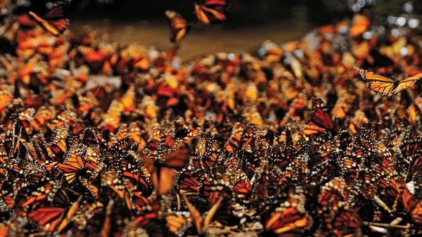 Nieposkromiona Ameryka Południowa