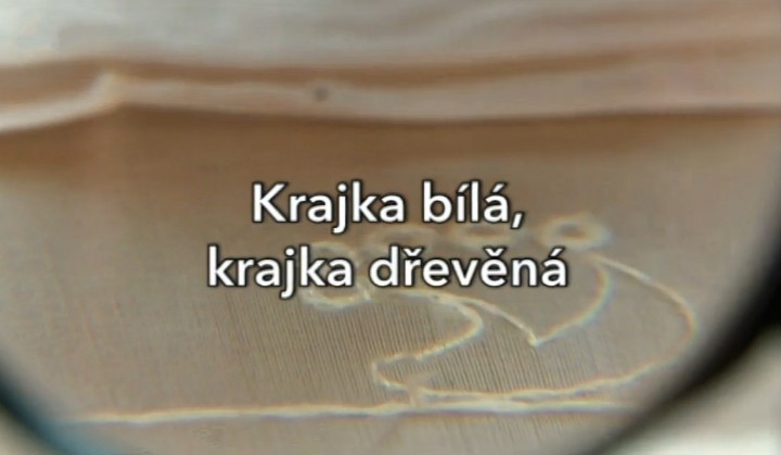 Dokument Krajka bílá, krajka dřevěná