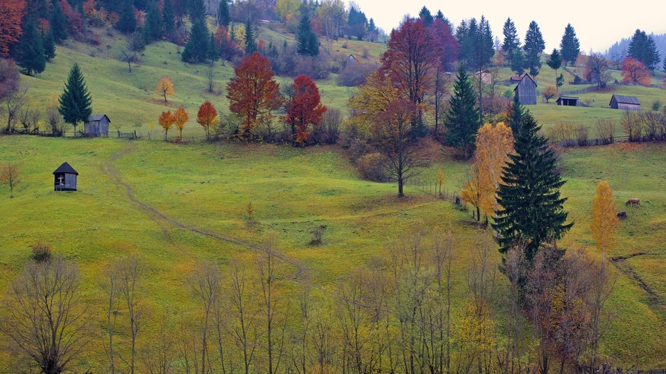 Agropogoda Info