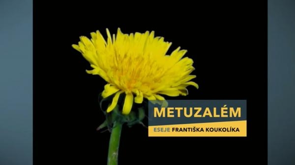 Metuzalém