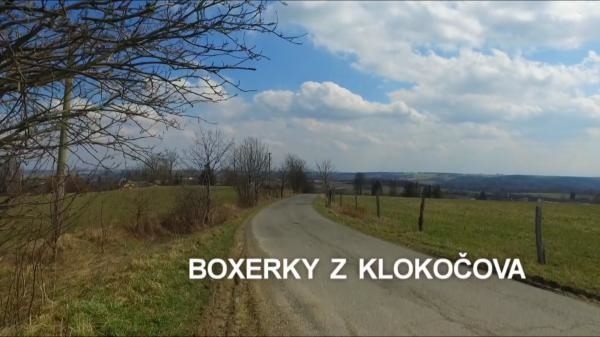 Boxerky z Klokočova