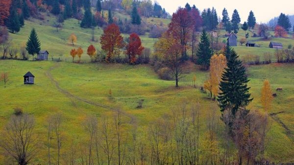 Strzelanina w Las Vegas: Minuta po minucie