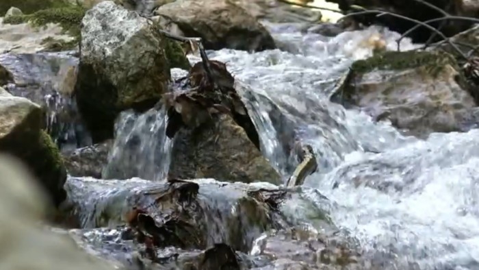 Dokument Z&nbsp;hôr, lesov a&nbsp;lúk/ Slovenský kras