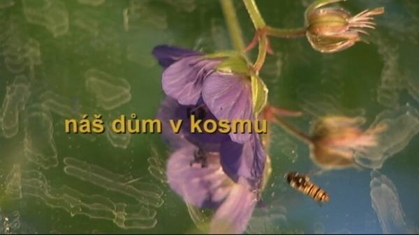 Náš dům v kosmu - ekologie a bioetika