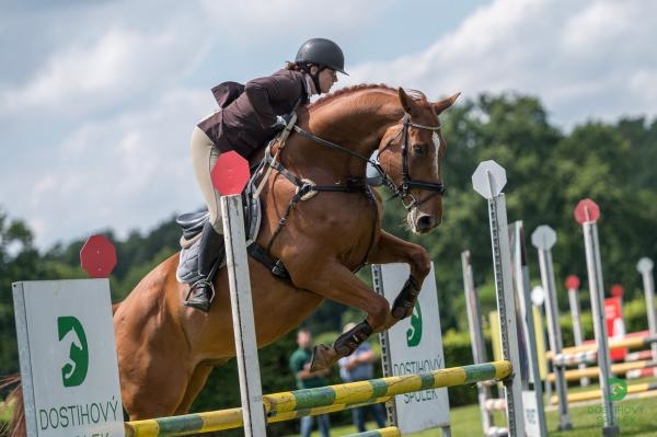 Jezdectví: Finále seriálu Zlatá podkova ve všestrannosti a spřežení Humpolec