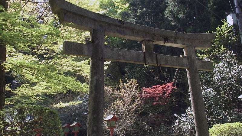 The best religion documentaries from year 2008 online