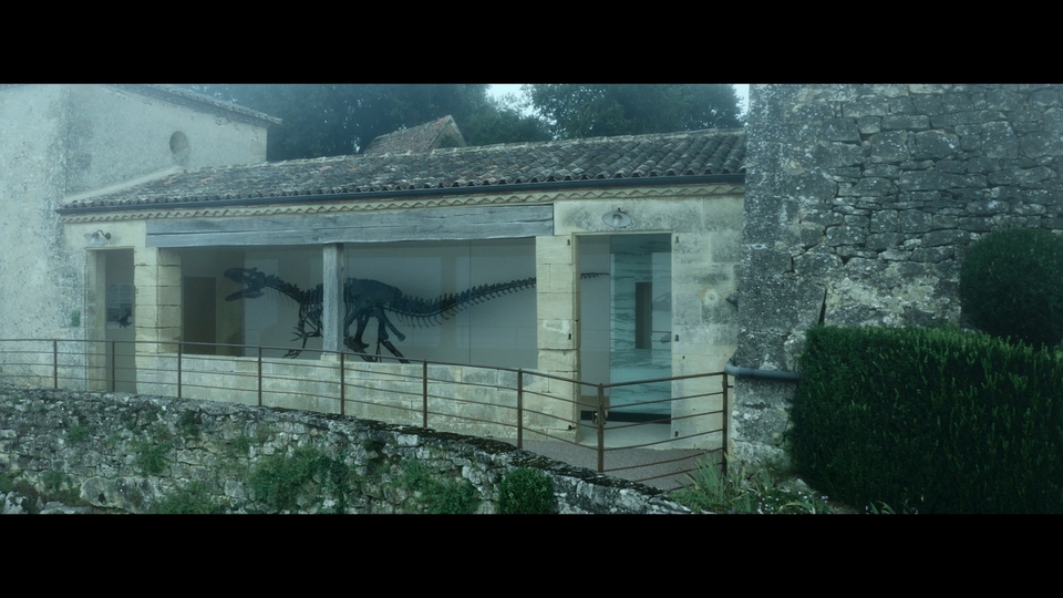 Dokument Vydražte si svého dinosaura