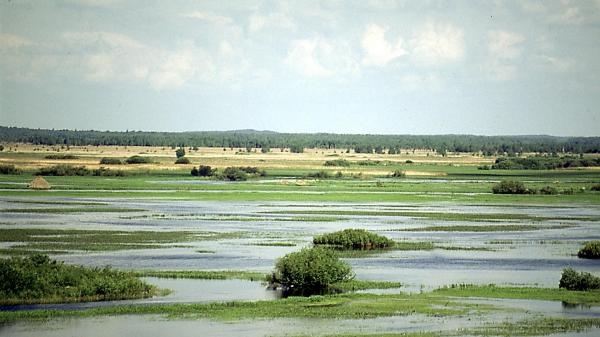 Polska z góry. Nad wodą