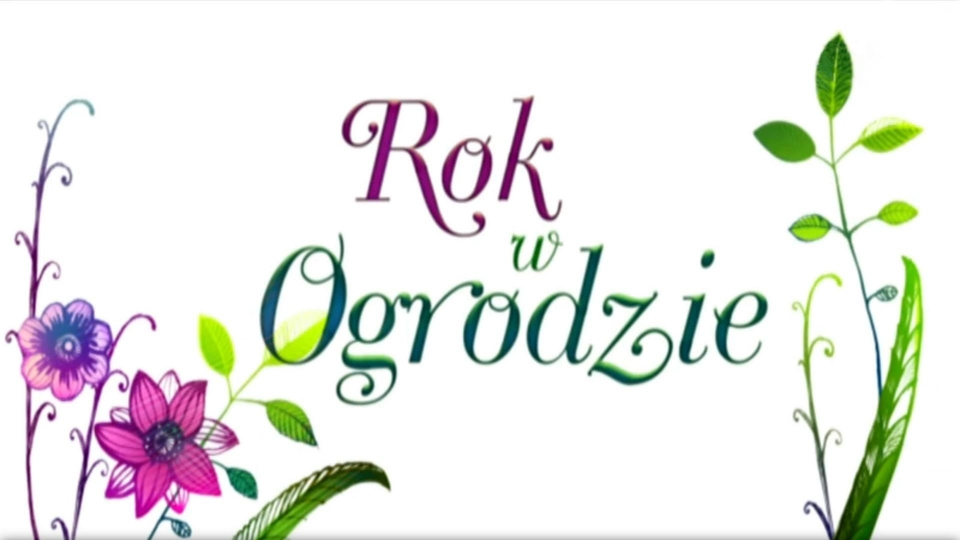 Rok w ogrodzie extra