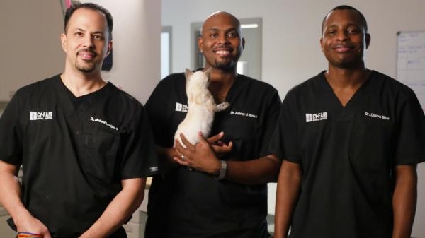 Život veterináře: Příběhy navíc