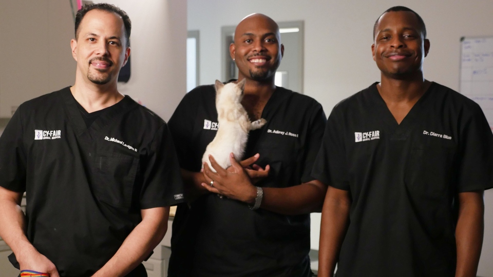 Život veterináře: Příběhy navíc
