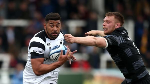 Newscastle Falcons - Bristol Bears