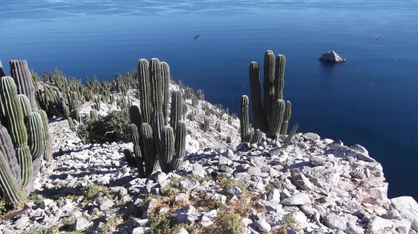 Pustynia różnorodności