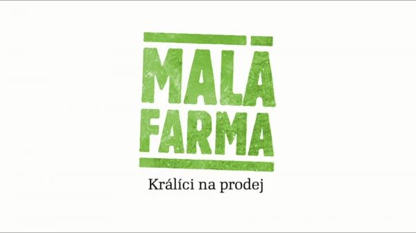 Králíci na prodej